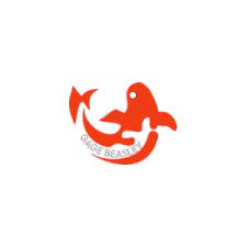 Gage Beasley screenshot